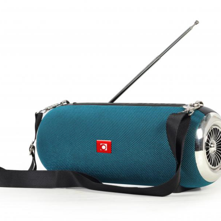 GMB Audio portable Bluetooth speaker with FMradio
